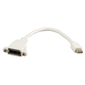 Mini DisplayPort - DisplayPort adapter